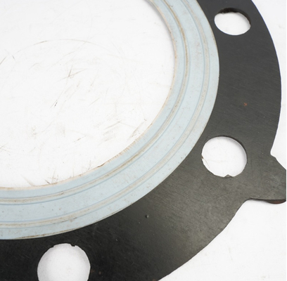 Diaphragme en caoutchouc composé de PTFE pour la pompe pneumatique de soupape à diaphragme