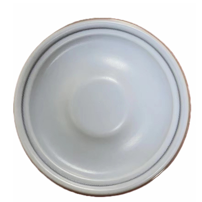 Diaphragme composé de PTFE EPDM pour la pompe de dosage d'Aquasystem