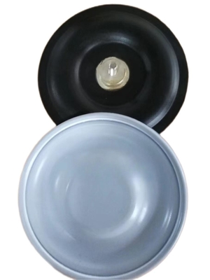 10 M3/H EPDM pompe de mesure joint de diaphragme pour les applications à haute température