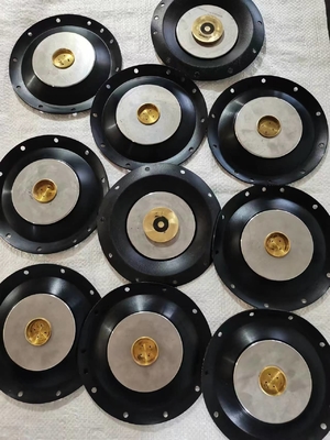 Diaphragme de soupape solénoïde en acier inoxydable 24V avec résistance à la pression de 10 bar