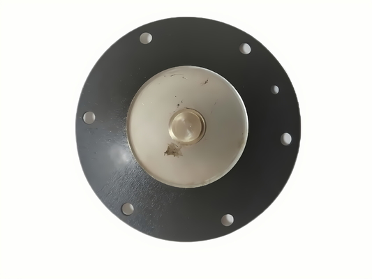Type d'étanchéité NBR Diaphragme de soupape solénoïde pour une large plage de température de fonctionnement D25 de DMF-Z-25 DMF-ZM-25 DMF-Y-25